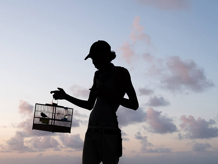 Ray with a Caged Bird on the Sea Wall in Georgetown, Guyana, from the "Human Nature" series