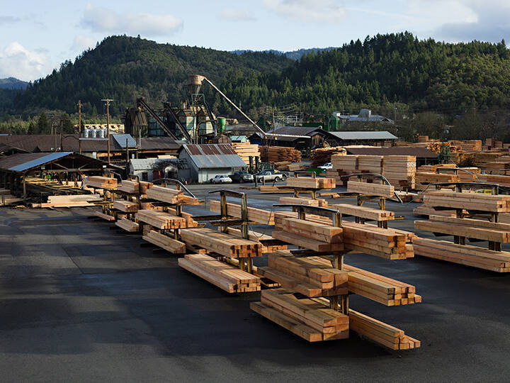 Lumber Mill, Oregon, from the "Human Nature" series