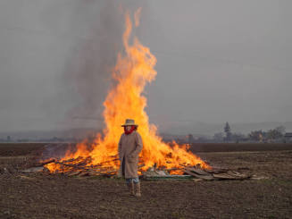 Alicia Clearing Land for Farming, California, from the "Human Nature" series