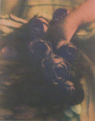 Untitled (Hand with Roses)