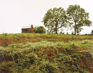 Kudzu and House, Tuscaloosa County, AL