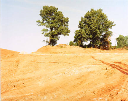 Site of Kudzu and House, Tuscaloosa County, AL (view II)