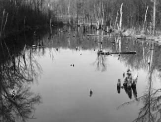 Strip Mine, Milfield Ohio