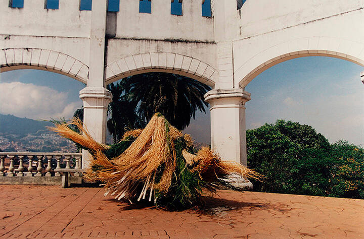 Ritual for the Trees, Colombia, South America