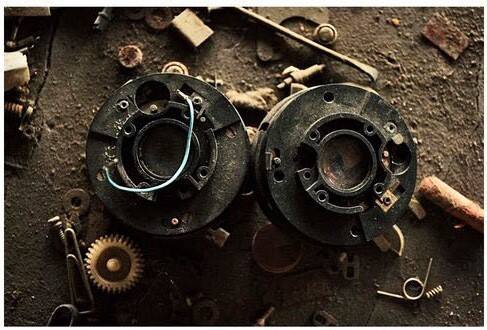 Autopsy of the Great Indian Camera, from the "Through a Lens, Darkly" series