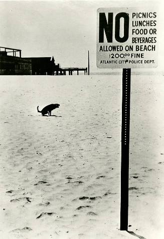 Untitled (Atlantic City Beach, Dog Squatting)