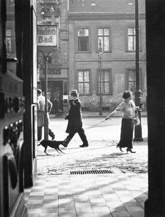 Vishniac, Roman