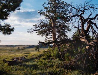 America: Tie Siding, Wyoming 1