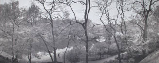 Man, Gapstow Bridge, Central Park