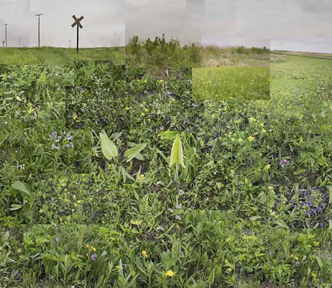 A Small Central Illinois Prairie, May 15, 2018, from the "Ancient Prairie" series