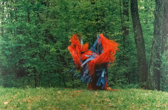 Untitled, from the "Effigy Mounds" series