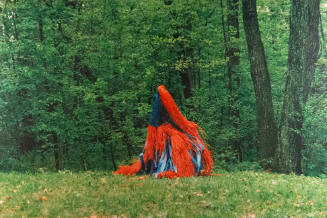 Untitled, from the "Effigy Mounds" series