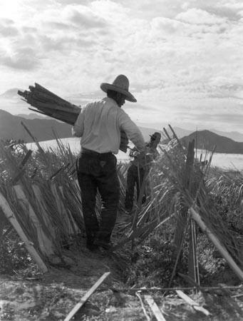 Establishment of rural rehabilitation camps for migrants in California