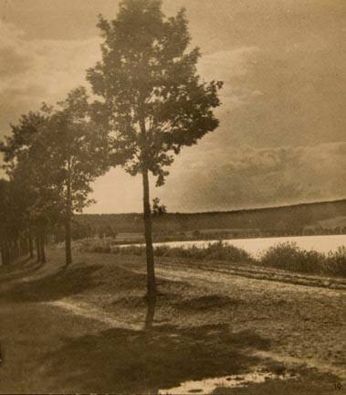 Landscape Near Lake