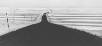 Wheat Fields, Near Great Falls, Montana