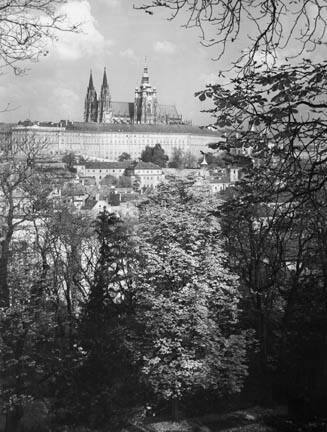 Castle From Garden