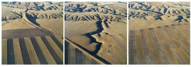 Montana, Great Falls vicinity,(striped fields), September 28, 1999