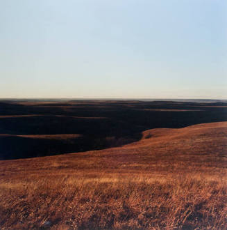 Konza Prarie, near Manhattan, Kansas, January 1985