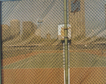 Noon-Grant Park, from "A Year in Chicago's Grant Park"