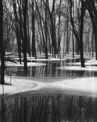 Crystal Lagoon, From Midwest Reflections