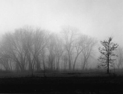 Silent Land, From Midwest Reflections