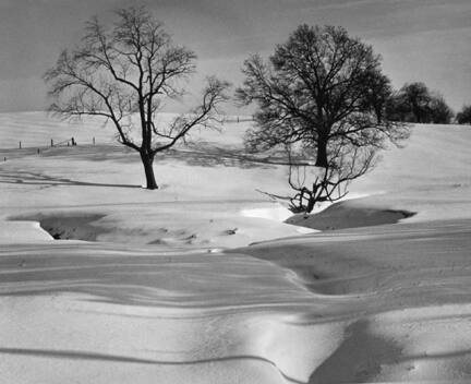 Ivory Meadow, From Midwest Reflections