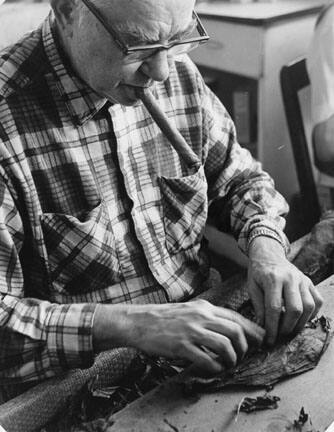 Cigar Maker Smoking