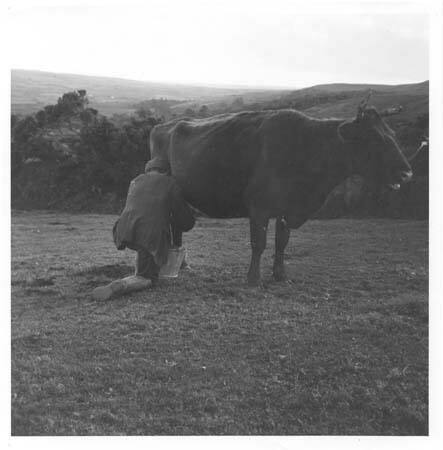 Hallorans (out in fields)