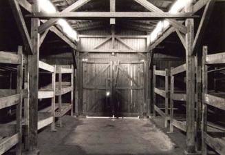 The Light Beyond (Barracks Door), Birkenau