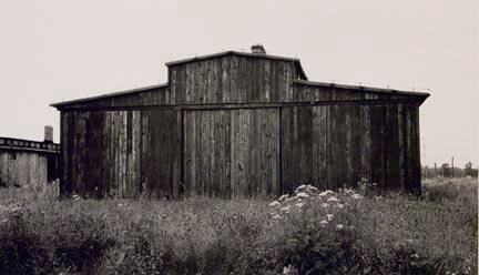 Weeds and Barrack, Birkenau