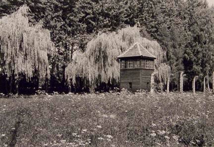 Willows and Guardhouse, Crematorium #3, Birkenau