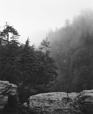 Linnville River Gorge, March